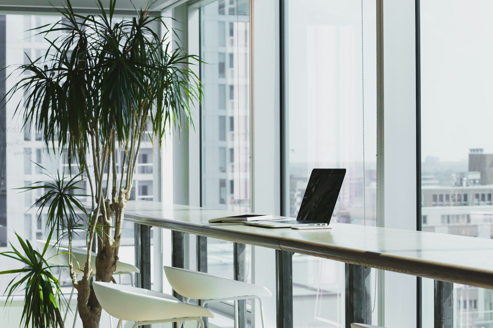 Bright open office with plants and a laptop on a long desk